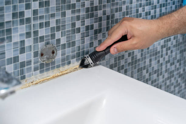 Best Basement Mold Remediation in Bagley, MN